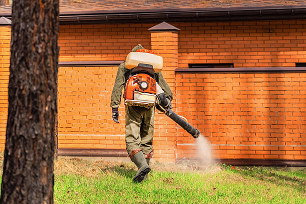 Trusted Cockroach Control service in Otisville, NY - Nex Pest Control